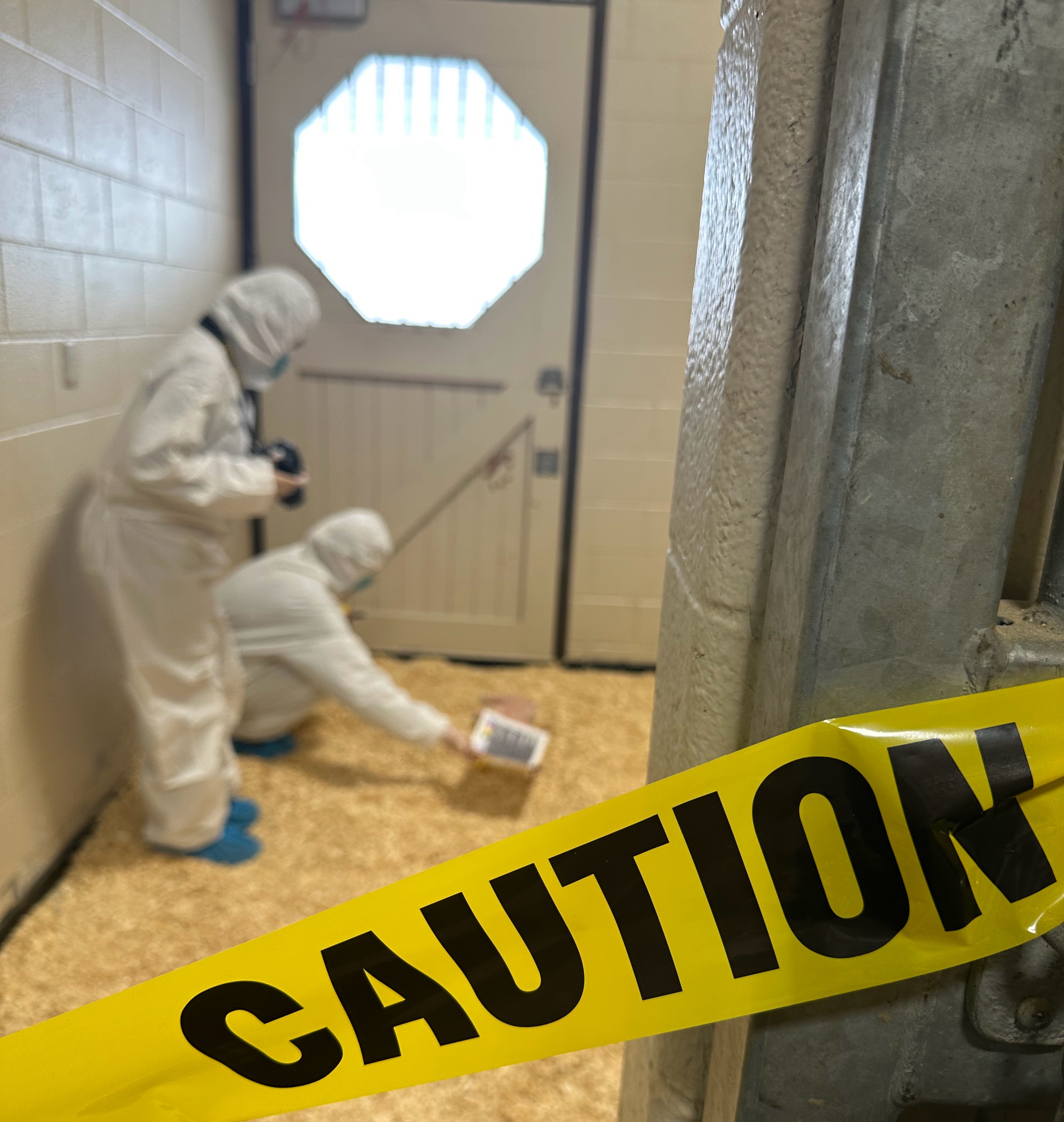 Two student veterinarians examine a mock crime scene.