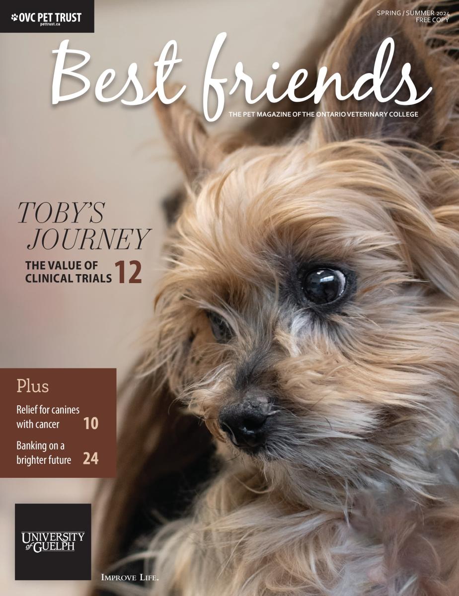 A magazine cover featuring a small brown dog. All text from this image is available in the accessible PDF linked in this story.