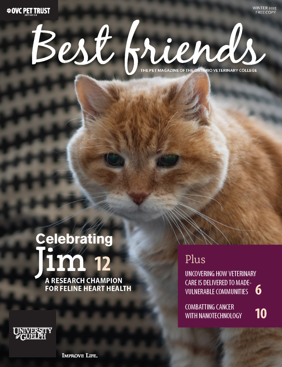 A magazine cover featuring an elderly orange and white cat. All text from this image is available in the accessible PDF linked below.