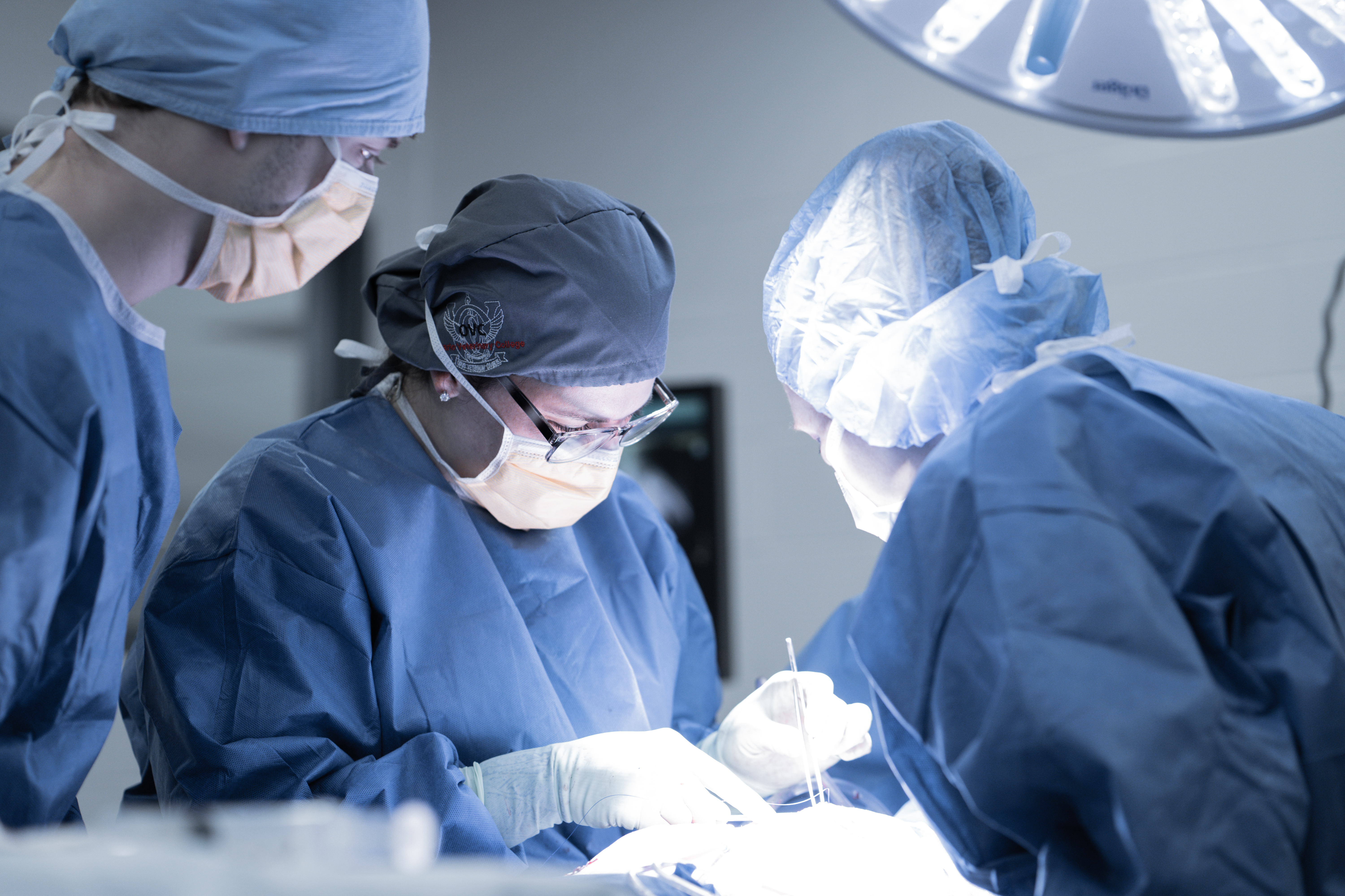 Veterinary team performs surgery in an operating room at the OVC Health Sciences Centre.