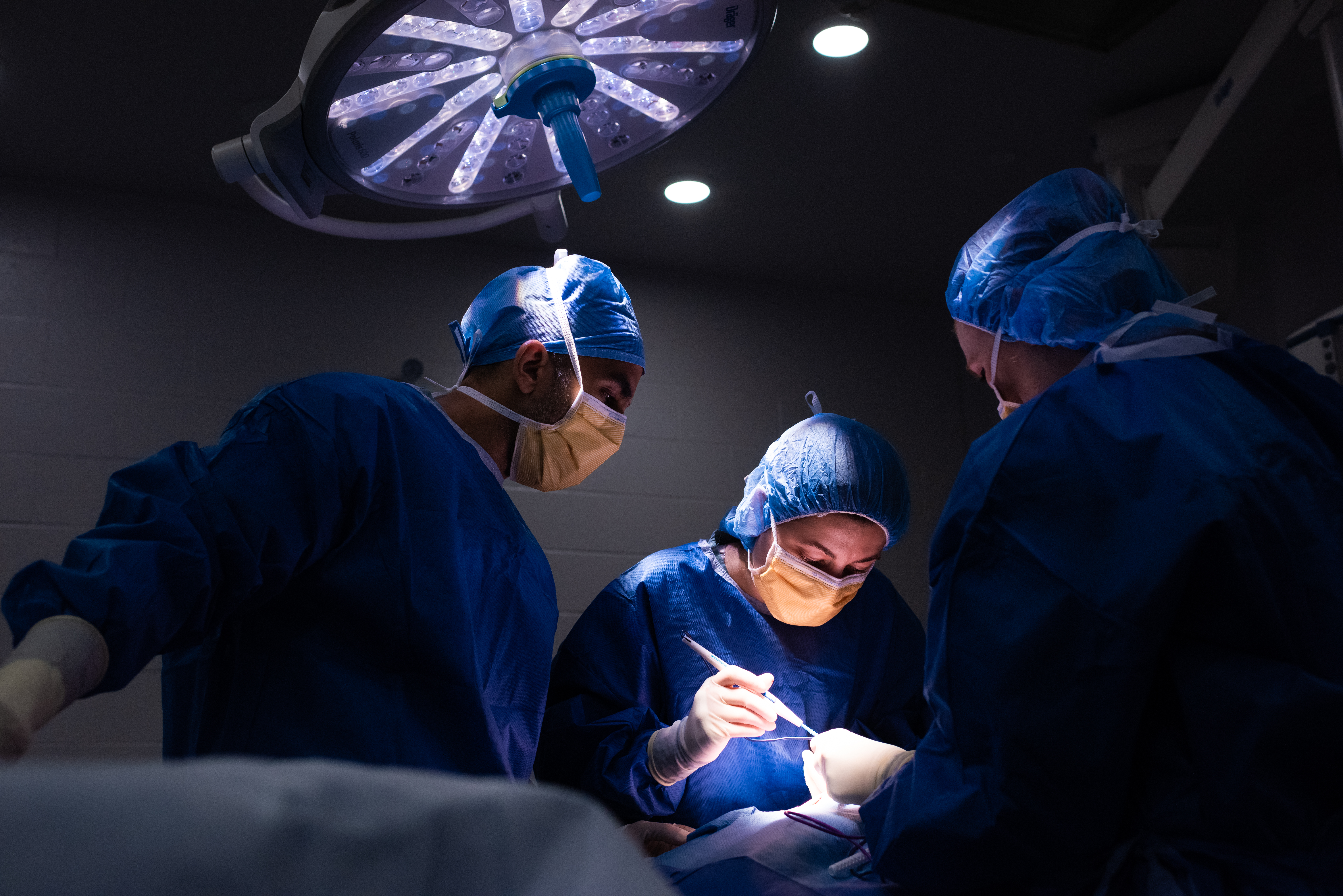 Veterinary team performs surgery in an operating room at the OVC Health Sciences Centre.