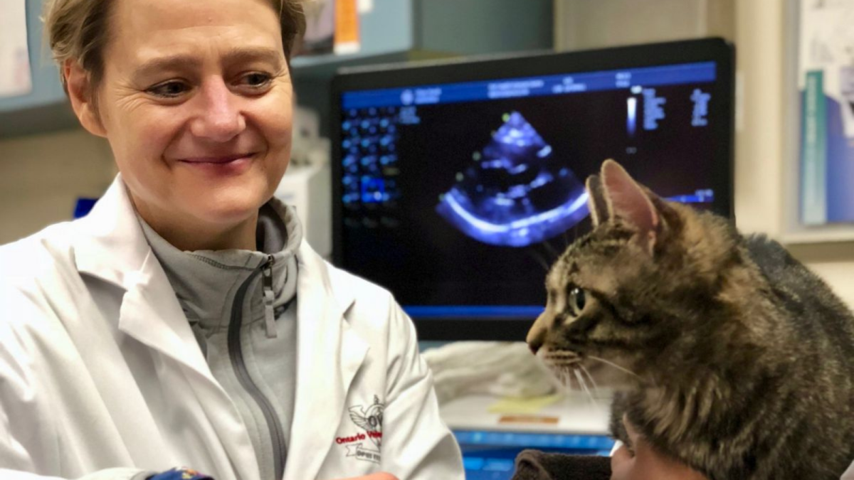 A woman wearing a white lab coat looking at a brown tabby cat with medical equipment in the background