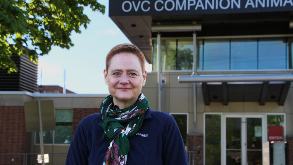 Dr. Sonja Fonfara Appointed as Research Chair in Feline Health | OVC ...