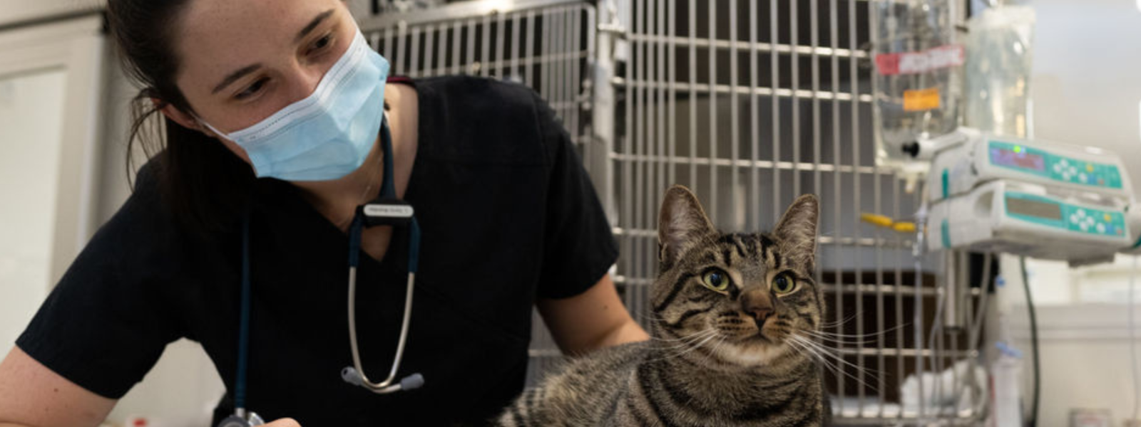 https://pettrust.uoguelph.ca/