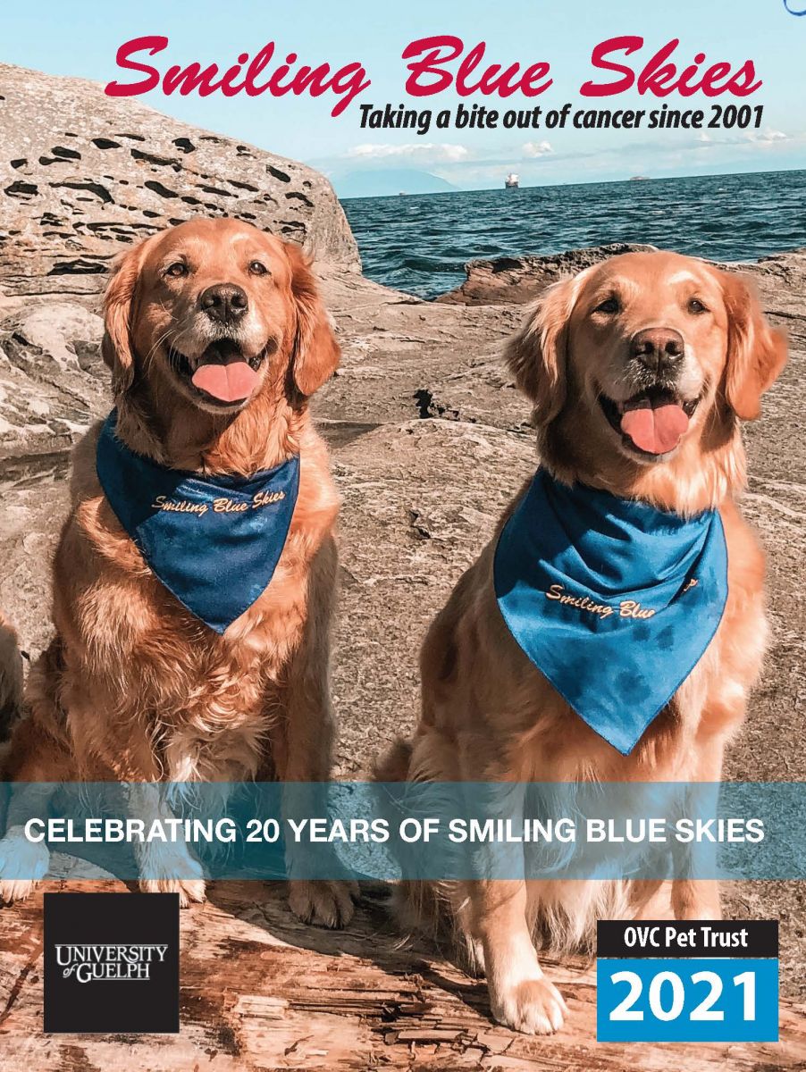 Cover of the 2021 Smiling Blue Skies Celebration Report.