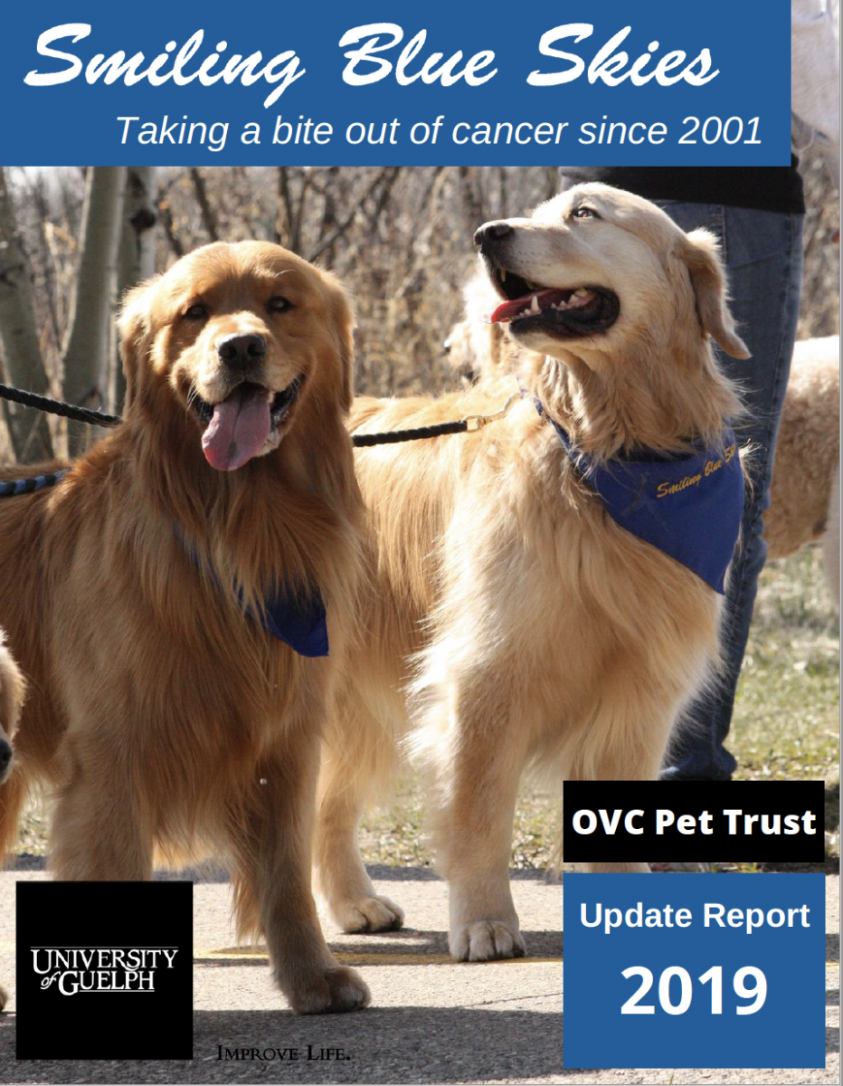 Cover of the 2019 Smiling Blue Skies Update Report.