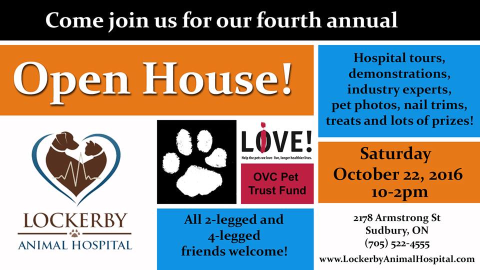 Open House at Lockerby Animal Hospital (Sudbury) In Support of OVC Pet  Trust | OVC Pet Trust