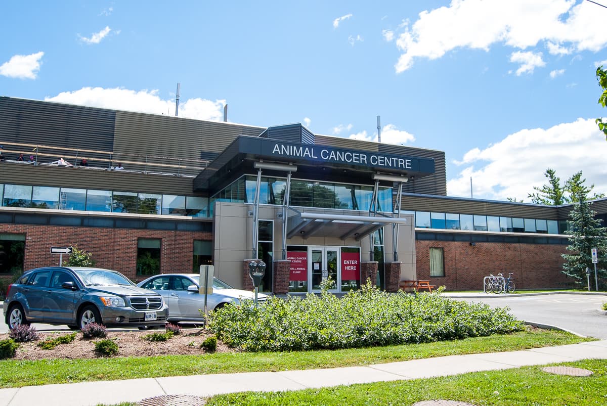 A red brick building displaying a sign that reads "Animal Cancer Centre"