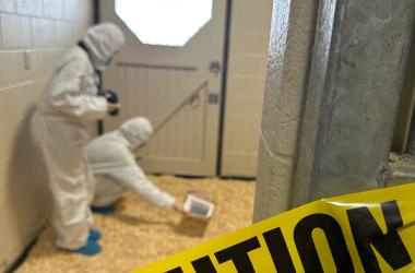 Two student veterinarians examine a mock crime scene.