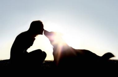 A silhouette of a person kneeling down and touching noses with a dog with a sunset in the background