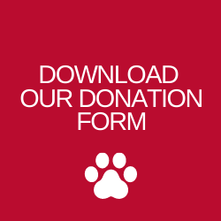 Download our donation form